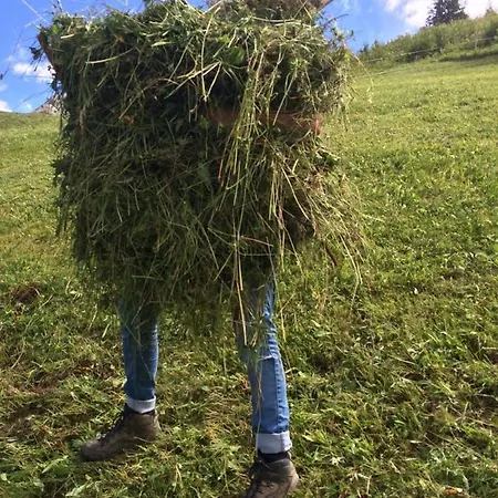 Bergspitz Luxury 公寓式酒店