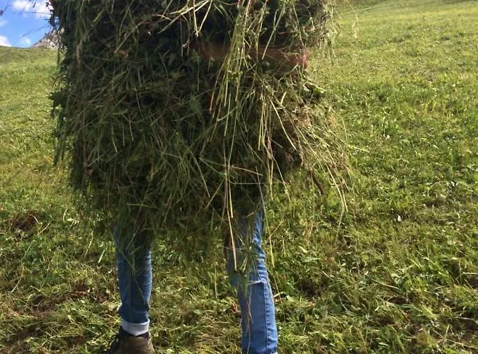 Bergspitz Luxury Aparthotel