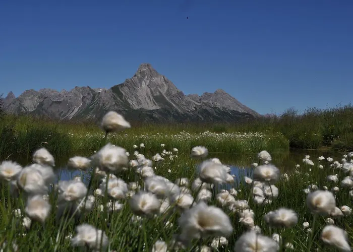 Aparthotel Bergspitz Luxury